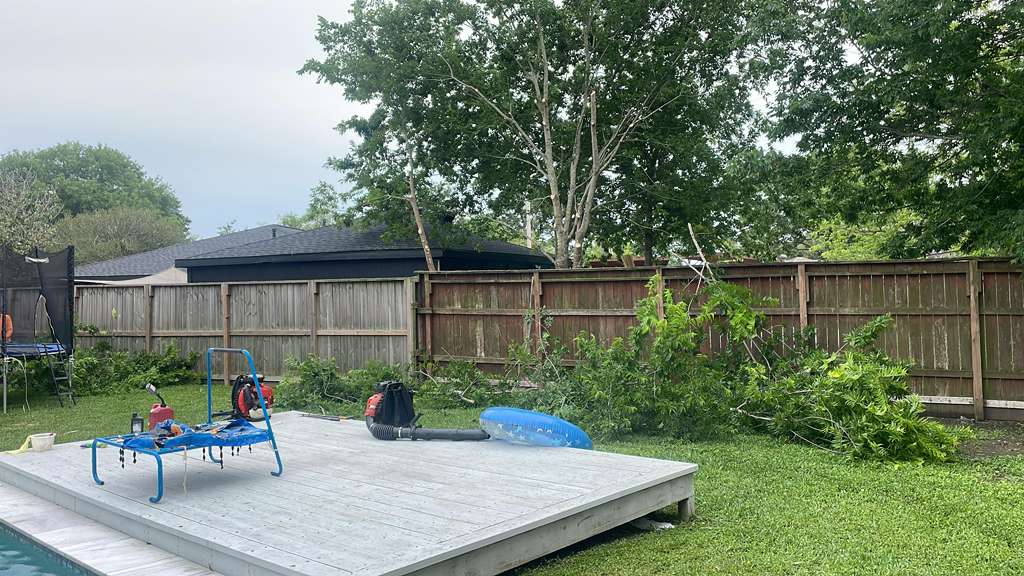 after tree cutting in houston by 3mlandscaping