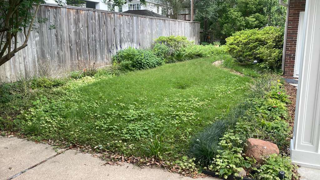 before 5 before landscaping service in Houston