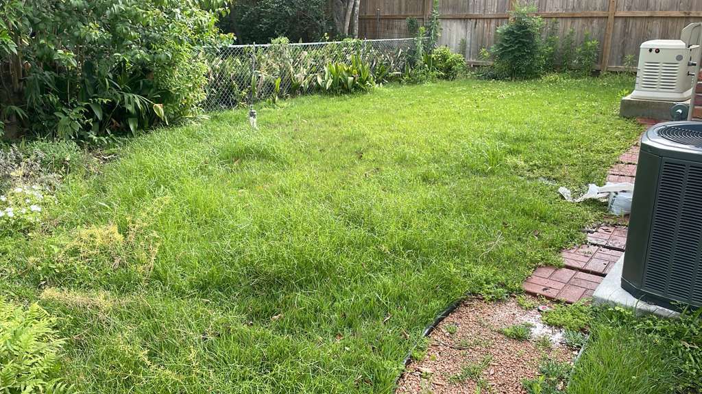 before 6 before landscaping garderning in Houston